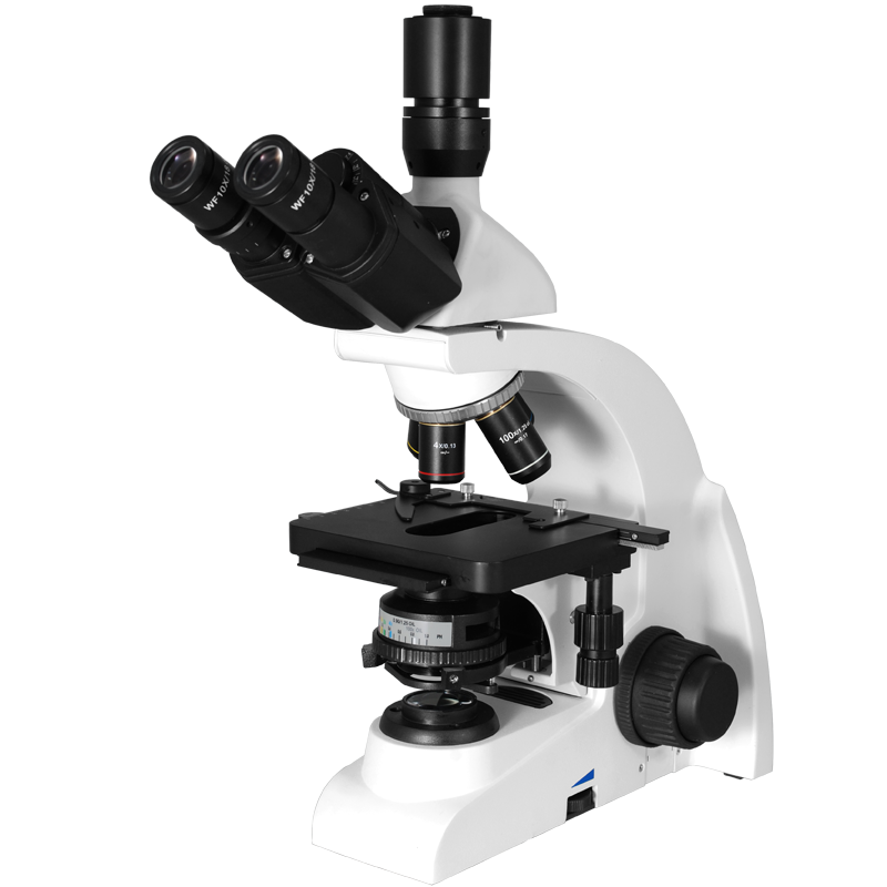 Biological Microscope